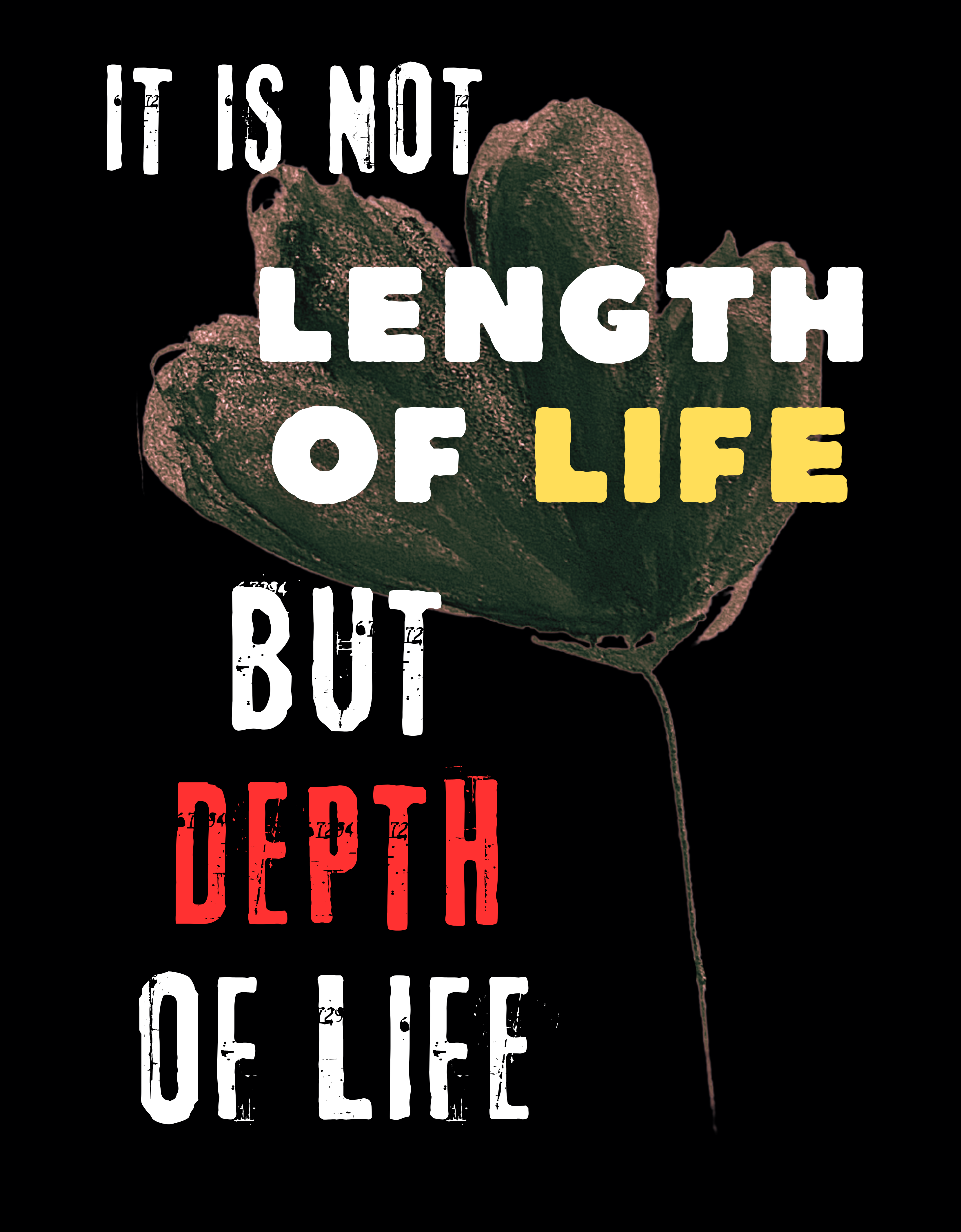 Framed poster print | Wall Art | Home Decor | Quote Art | It is not length of Life, but depth of Life Artwork